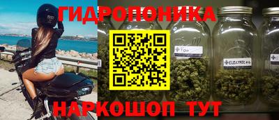 прущие грибы Волгодонск