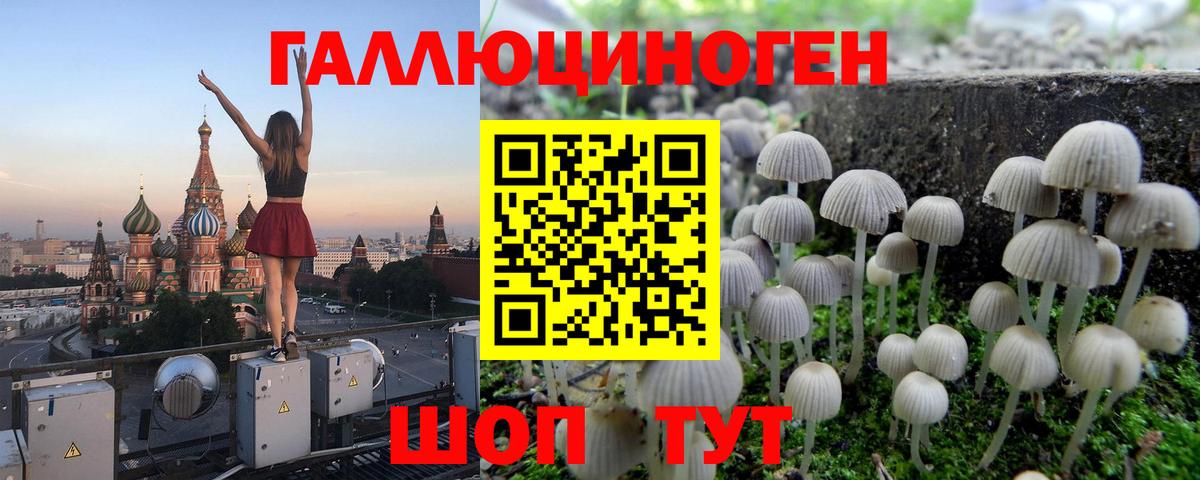 Галлюциногенные грибы MAGIC MUSHROOMS Ртищево